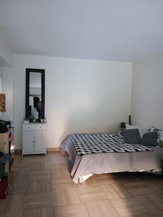 Rez-De-Jardin Grand Studio Apartment Cros-de-Cagnes Exterior foto